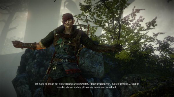 the-witcher-2-iorweth