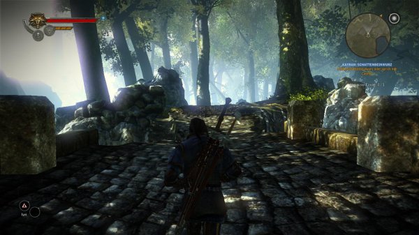 the-witcher-2-wald